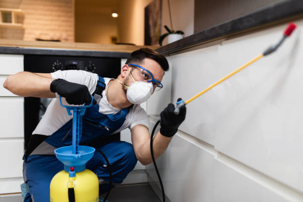 Best Flea Control Services  in Heavener, OK