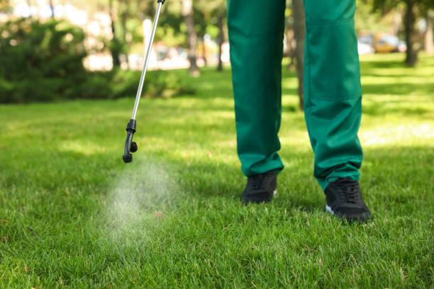 Best Local Pest Control Services  in Heavener, OK