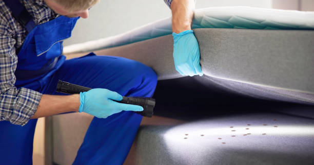Best Local Pest Control Services  in Heavener, OK