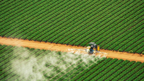 Best Pest Inspection Near Me  in Heavener, OK
