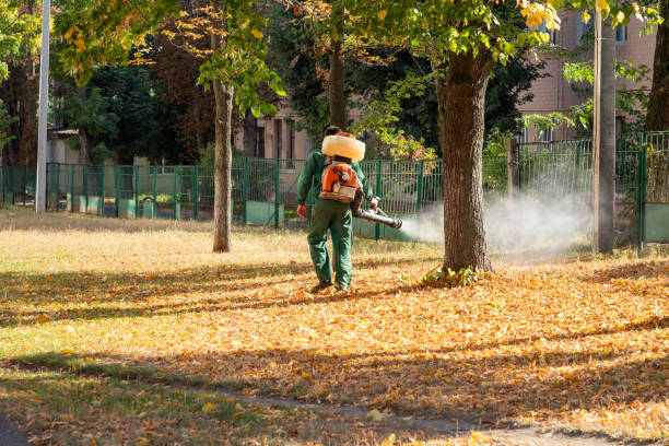 Best Emergency Pest Control  in Heavener, OK