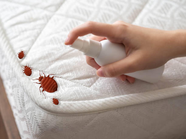 Best Pest Prevention Services  in Heavener, OK