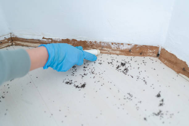 Best Best Pest Control Companies  in Heavener, OK