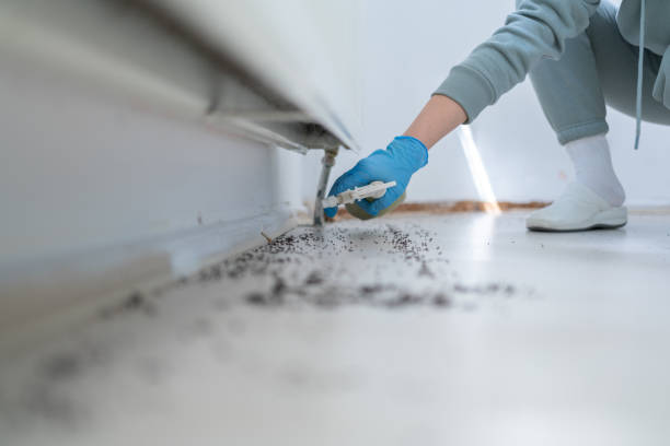 Wildlife Control Services in Heavener, OK