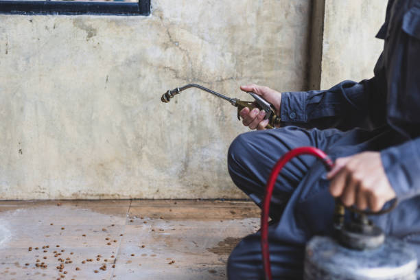 Best Residential Pest Control  in Heavener, OK