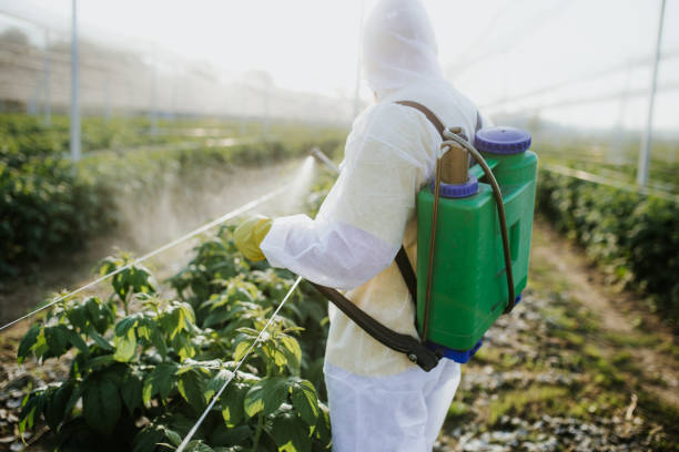 Best Pest Inspection Near Me  in Heavener, OK